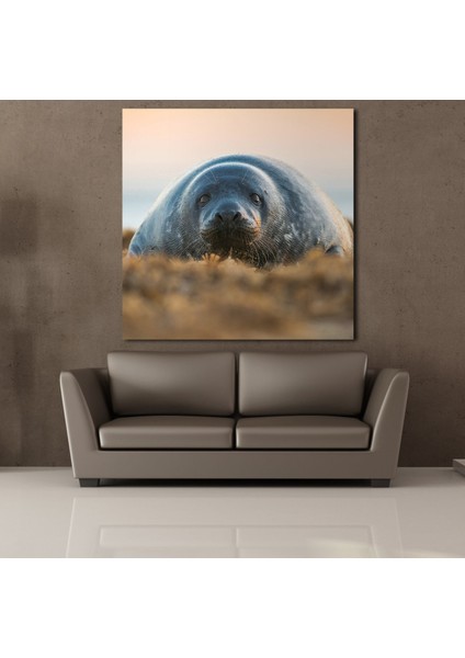 Fok Balığı 170 x 170 cm Tablo