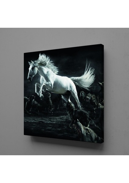 Beyaz At 80 x 80 cm Tablo