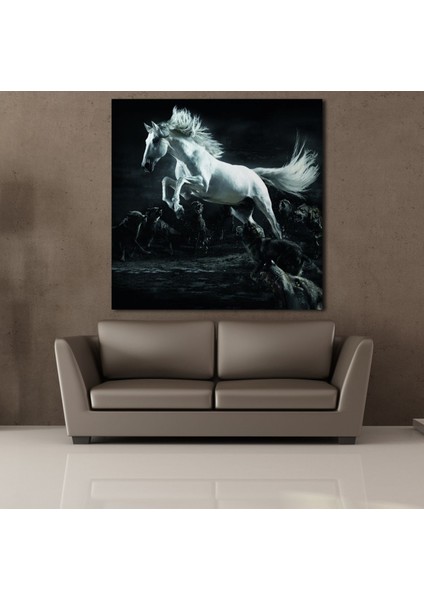 Beyaz At 80 x 80 cm Tablo fiyatları