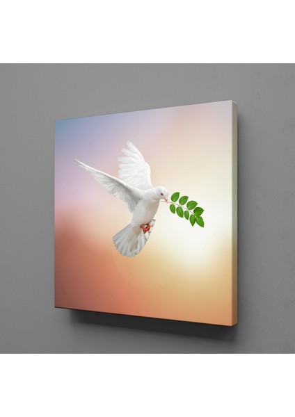 Beyaz Güvercin 190 x 190 cm