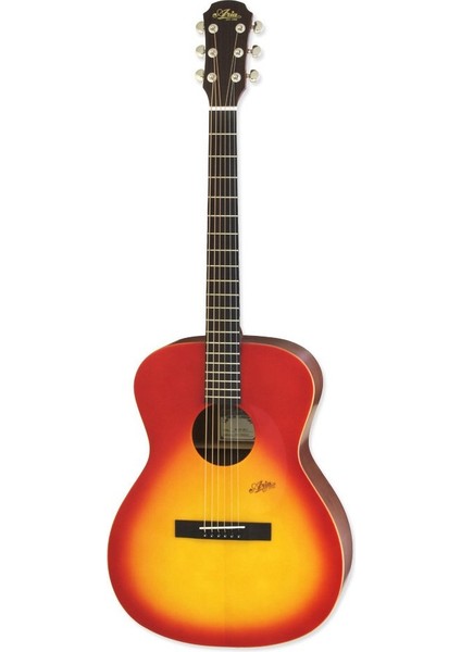 MF200MTCS Akustik Gitar