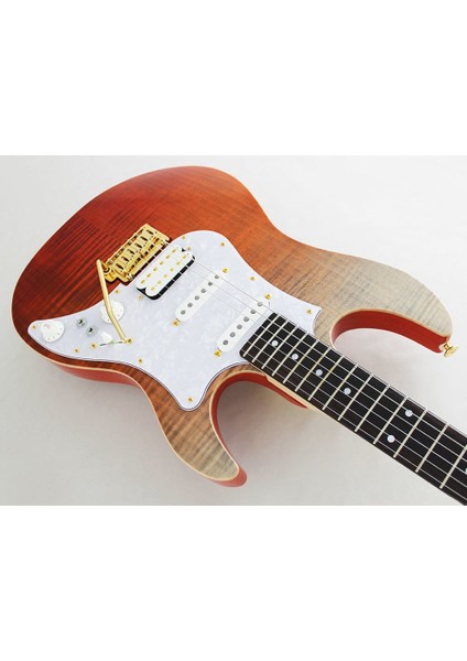 Odyssey Elektro Gitar Eosfmrrkg