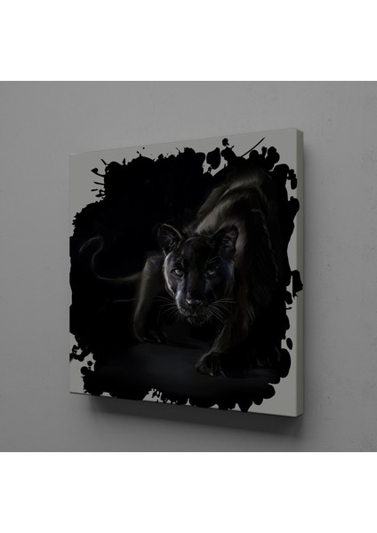 Siyah Aslan 170X170CM