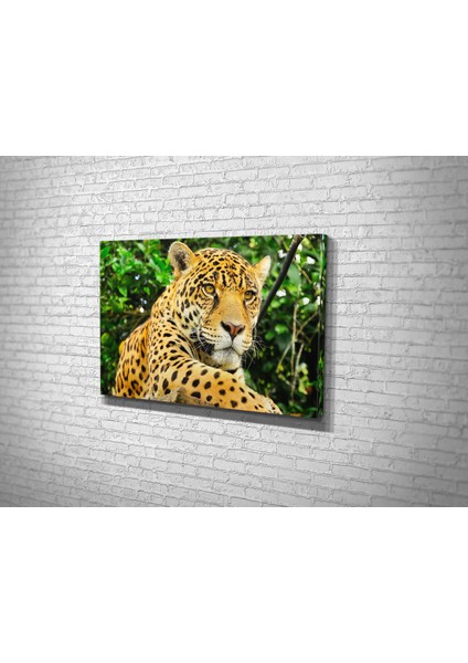 Leopar Kanvas Tablo