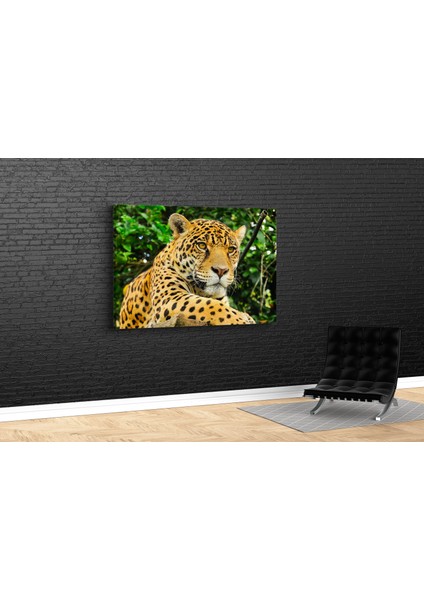 Leopar Kanvas Tablo