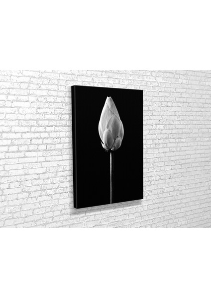 Lotus Goncası Kanvas Tablo