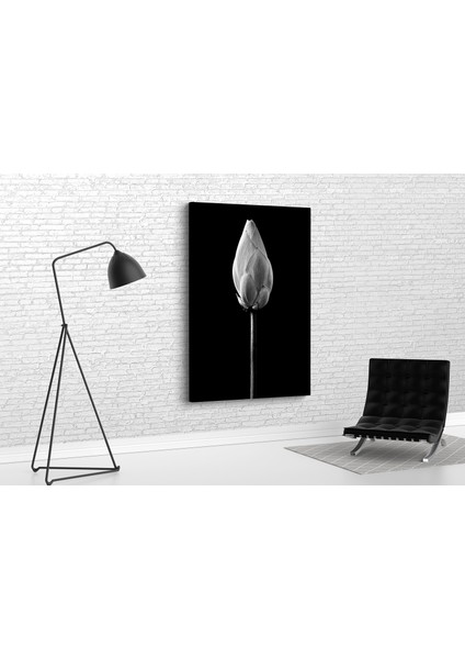 Lotus Goncası Kanvas Tablo fiyatları