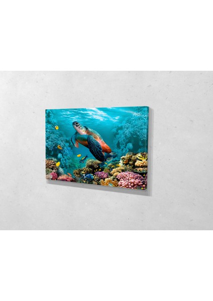 Deniz Kaplumbağası Kanvas Tablo