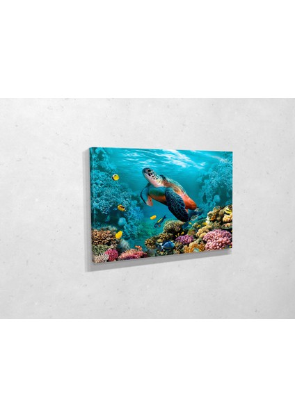 Deniz Kaplumbağası Kanvas Tablo modelleri