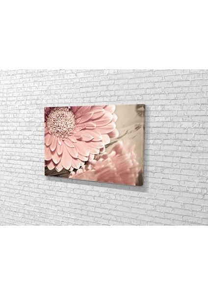 Gerbera Papatyası Kanvas Tablo