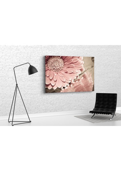 Gerbera Papatyası Kanvas Tablo