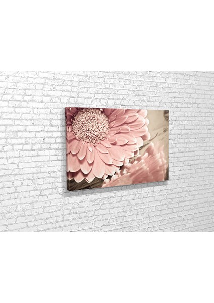 Gerbera Papatyası Kanvas Tablo