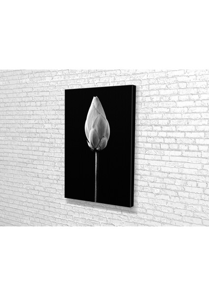 Lotus Goncası Kanvas Tablo modelleri