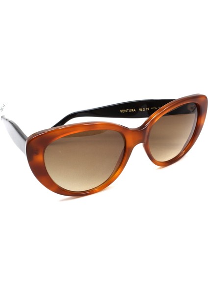 Ventura Light Brown 54 Güneş Gözlüğü