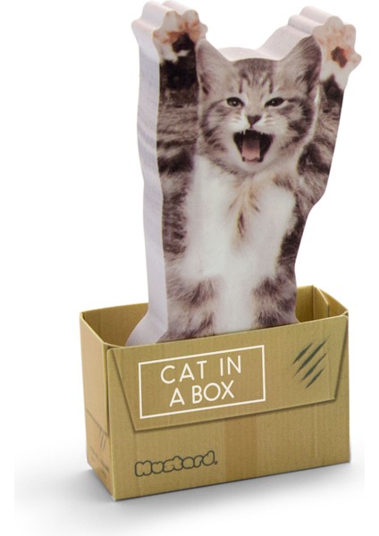Cat In A Box Yapışkanlı Not Kağıdı