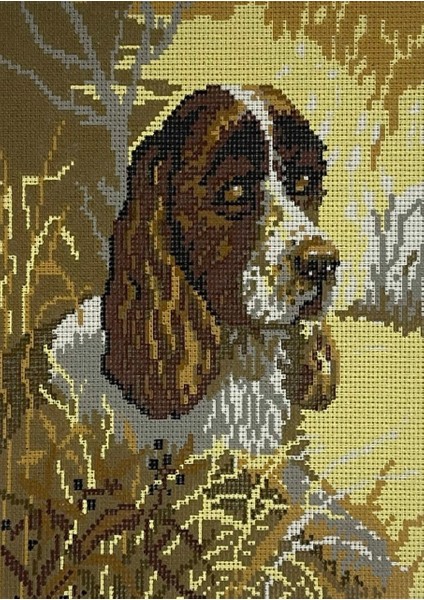 Baskılı Goblen Tablo Pano 25X31CM 1900