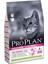 Delicate Kuzu Etli Yetişkin Kedi Maması 1,5 kg 1