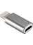 I-Stone Lightning Micro USB Çevirici Aparat Silver 1