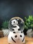 Çiko Toys Panda Temalı Işıklı Müzikli Kar Püskürtmeli Büyük Boy Pilli Kar Küresi 1
