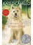 Because Of Winn-Dixie - Kate Dicamillo 1