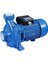 SM220/2 Su Motoru 2.2hp 2'' - Elektrikli Monofaze 1