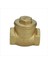 1" Kauçuk Çalparalı Çekvalf 101007094 1
