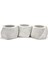 Beton Sukulent Saksı 3'lü Set ( Çiçek Dahil) 2