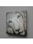 Beyaz Aslan 120 x 120 cm Tablo 1
