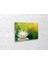 Beyaz Lotus Kanvas Tablo 3