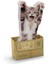 Cat In A Box Yapışkanlı Not Kağıdı 1