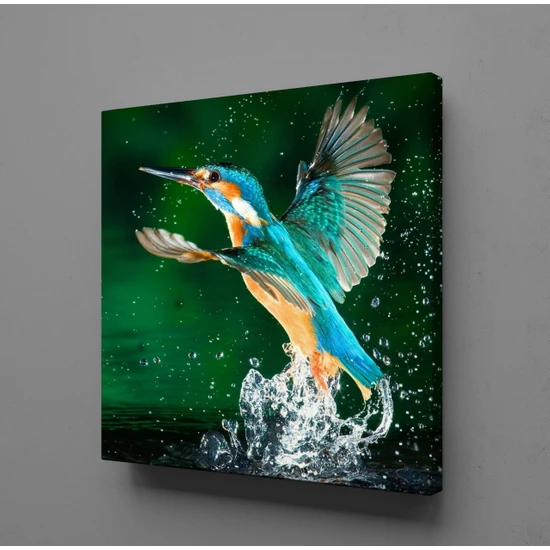 Technopa Renkli Kuş 90 x 90 cm Tablo