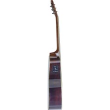 Washburn AG70CE Apprentice Elektro Akustik Gitar