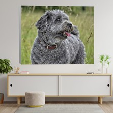 Deko Gonya Gri Köpek Dekoratif Kanvas Tablo