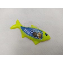 Hd Marketim Balık Görünümlü Magnet Yeşil Mıknatıslı Deniz Kabuklu Kemer Yazılı Buzdolabı Süsü