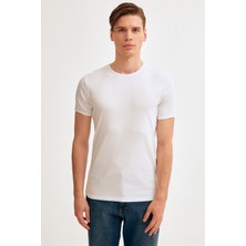 Bisiklet Yaka Basic Tshirt