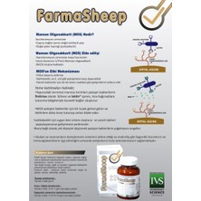 Forvet Farmasheep