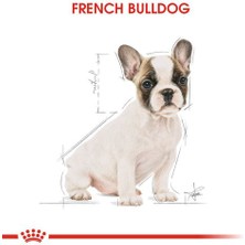 Royal Canin French Bulldog Yavru Kuru Köpek Maması 3 kg