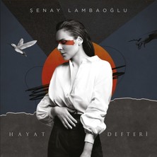 Şenay Lambaoğlu-Hayat Defteri ( Plak)