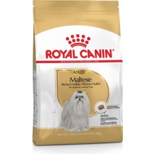 Royal Canin Maltese Terrier Adult Yetişkin Köpek Irk Maması 1,5 kg
