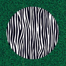 Tarzını Seç Yuvarlak Piknik Örtüsü Zebra Desenli