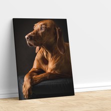 Deko Gonya Kahverengi Sevimli Köpek Dekoratif Kanvas Tablo
