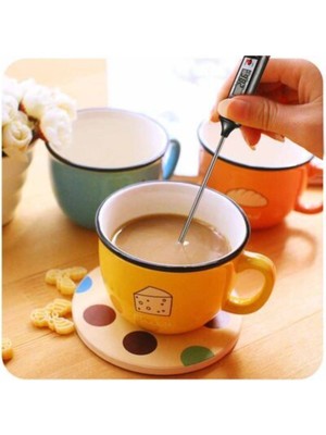 Epinox Dijital Termometre