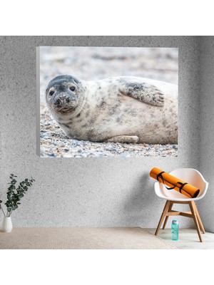 Deko Gonya Gri Fox Dekoratif Kanvas Tablo