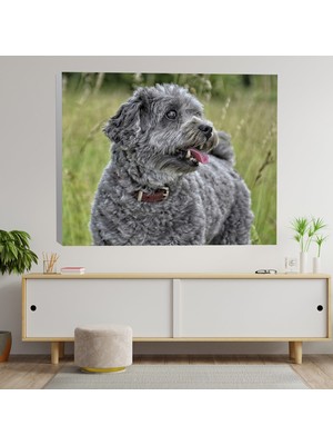 Deko Gonya Gri Köpek Dekoratif Kanvas Tablo