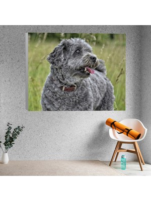 Deko Gonya Gri Köpek Dekoratif Kanvas Tablo