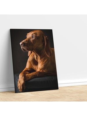 Deko Gonya Kahverengi Sevimli Köpek Dekoratif Kanvas Tablo