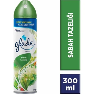 Oda Kokusu Aerosol 300ML Sabah Tazeliği