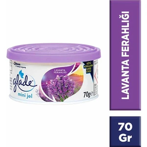Oda Kokusu Mini Jel Lavanta 70 gr