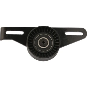 sagemfrans Renault Megane 1.6 Alternatör Gergi Rulmanı (Ayaklı) 7700105325