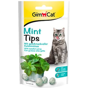 Mint Tips Ödül Tableti 40GR